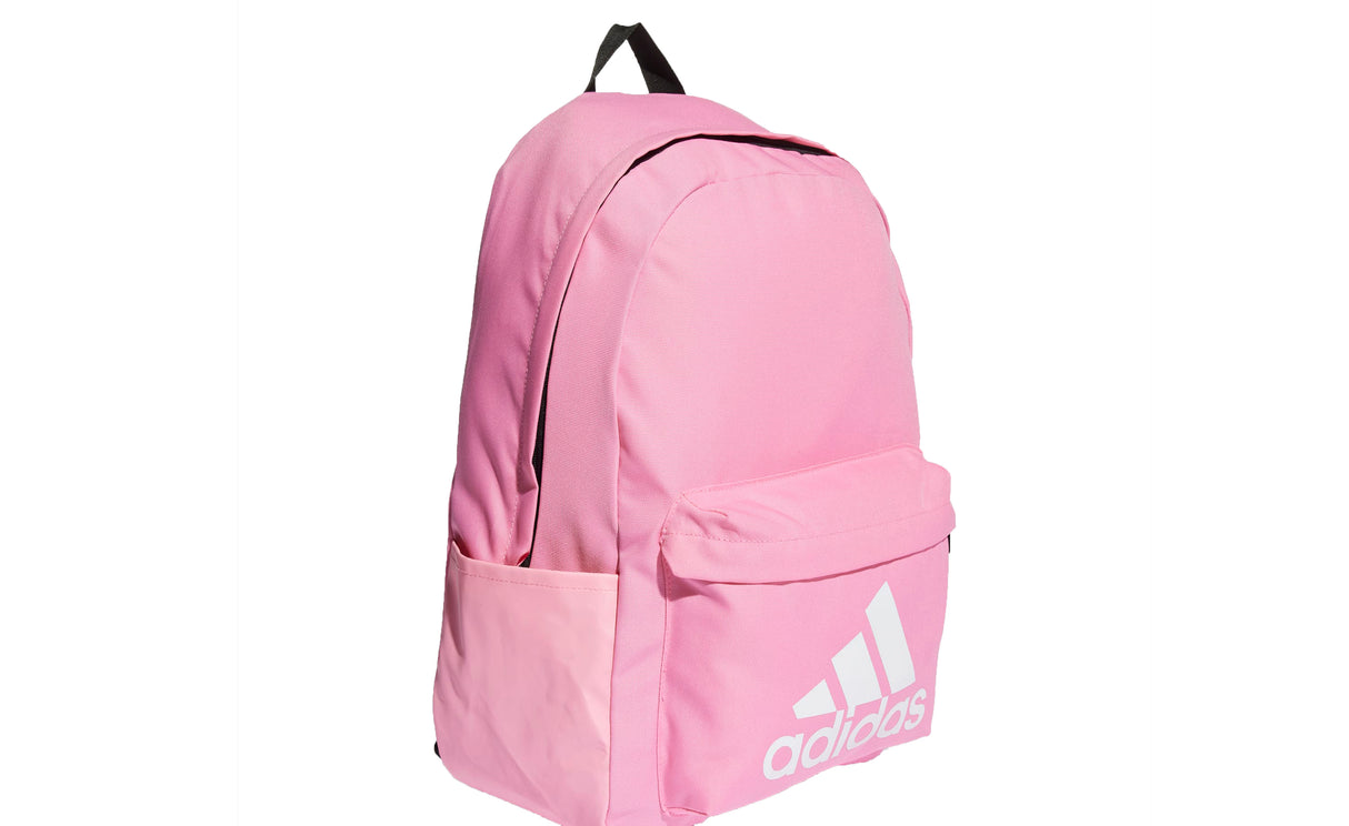 CLSC BOS BP - View 2