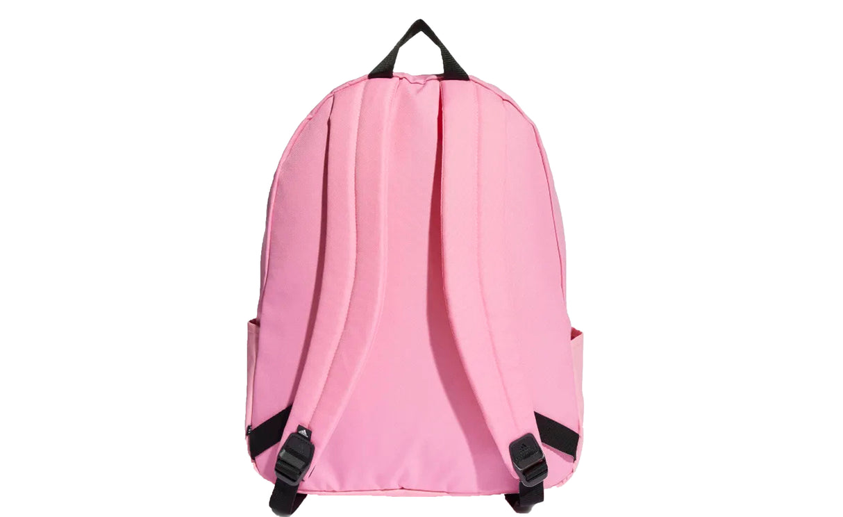 CLSC BOS BP - View 3