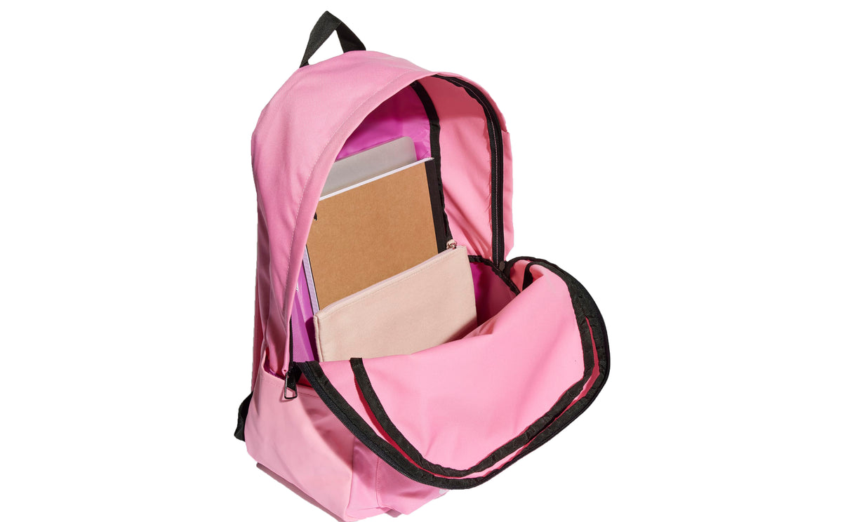 CLSC BOS BP - View 4