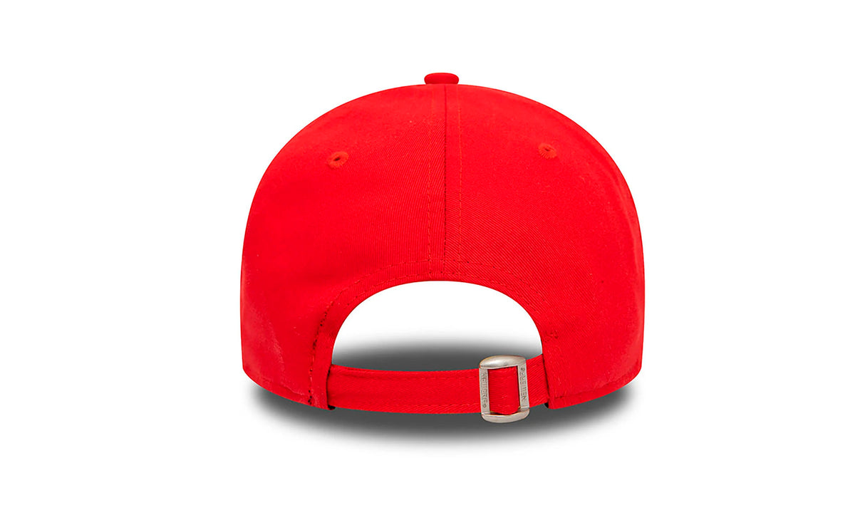 CHICAGO BULLS FDRFDR - View 2