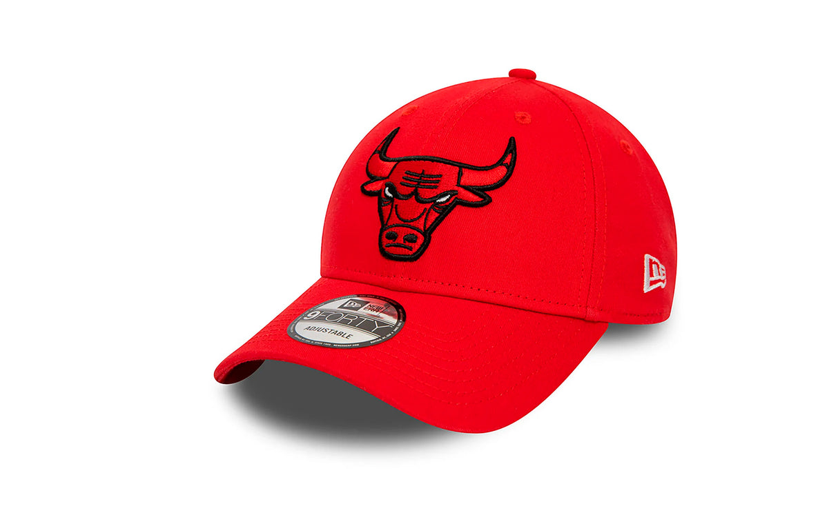 CHICAGO BULLS FDRFDR - View 1
